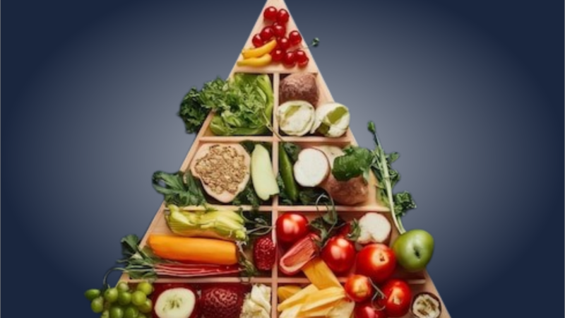 Entenda as atualizações nas diretrizes da Pirâmide Alimentar para 2026