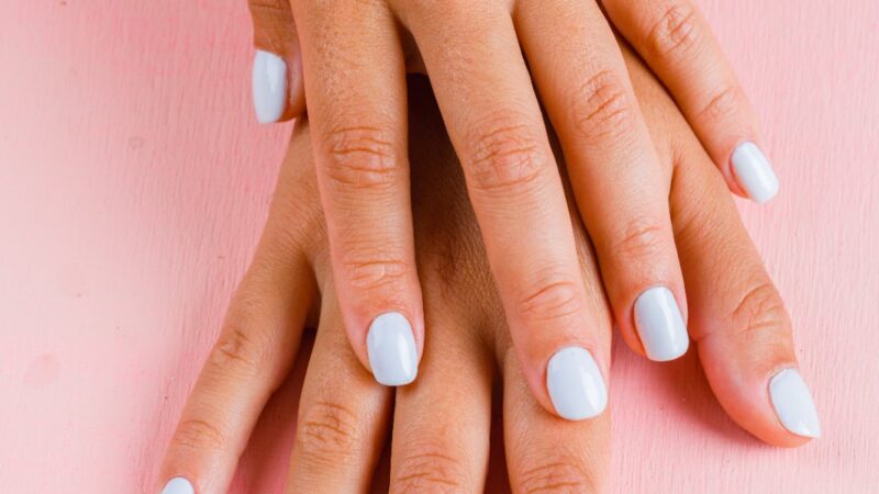 Cutítula é a barreira invisível que você não deve romper