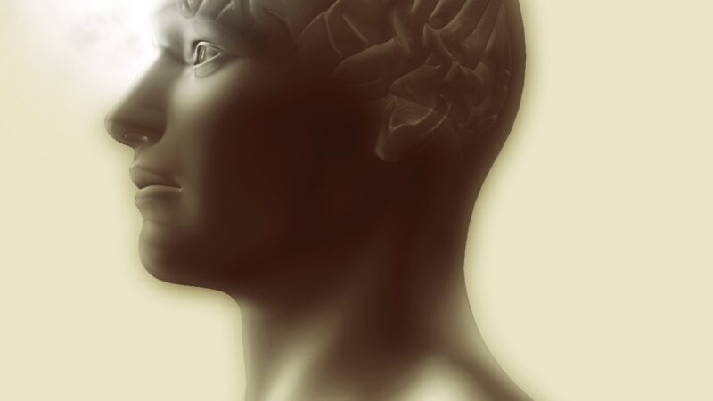 Hipóxia Cerebral: quando cada segundo conta para a sobrevivência dos neurônios